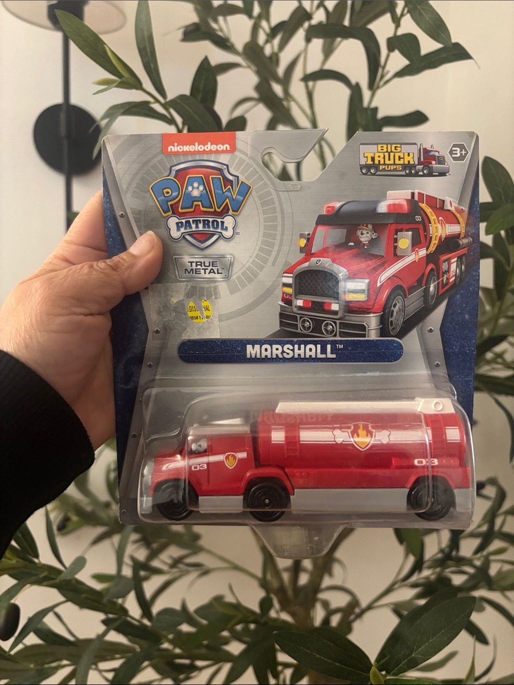 Paw Patrol Marshall Red Fire Tanker Truck Toy
